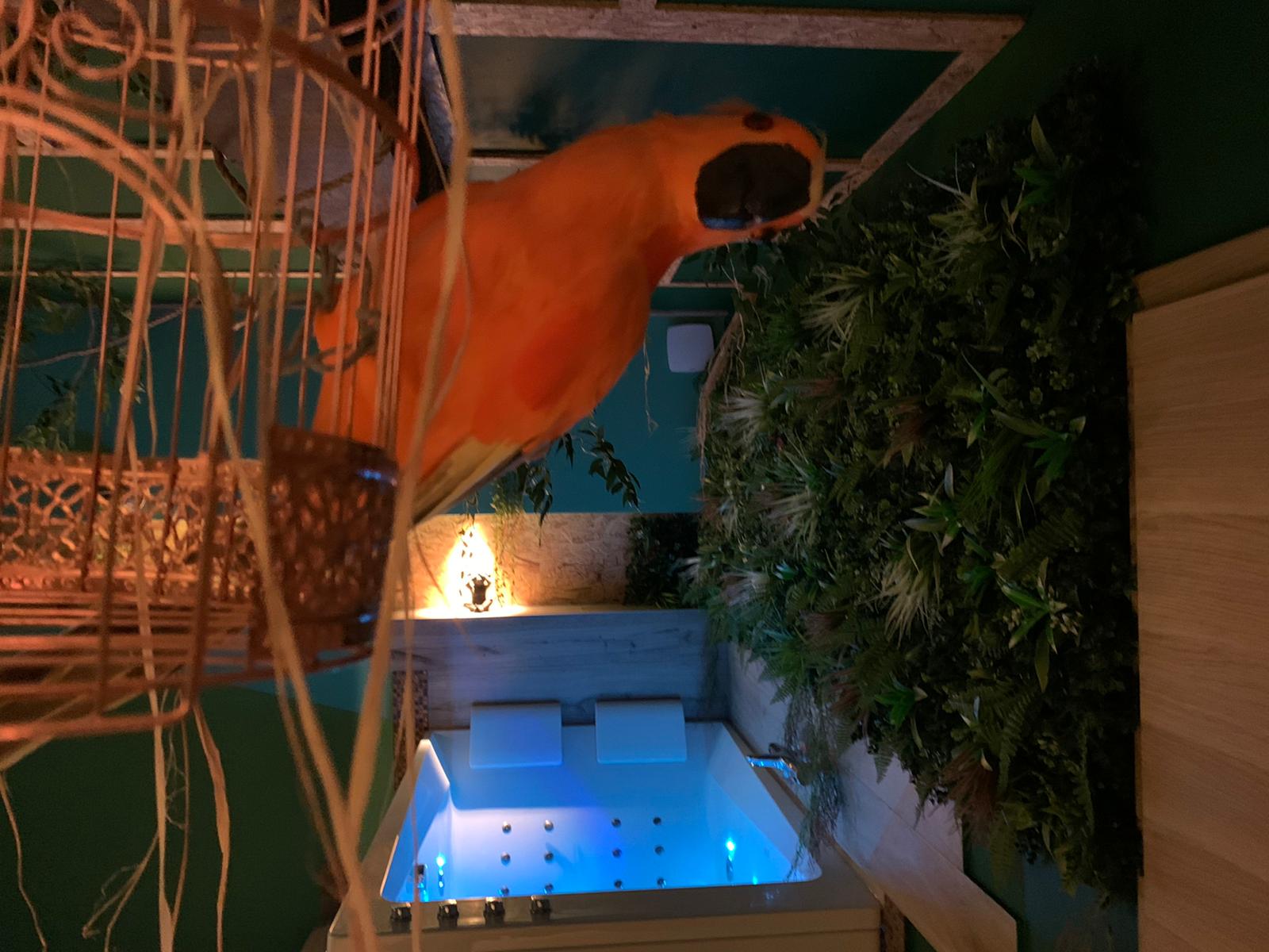 The Secret Jungle, aperçu de la suite 6